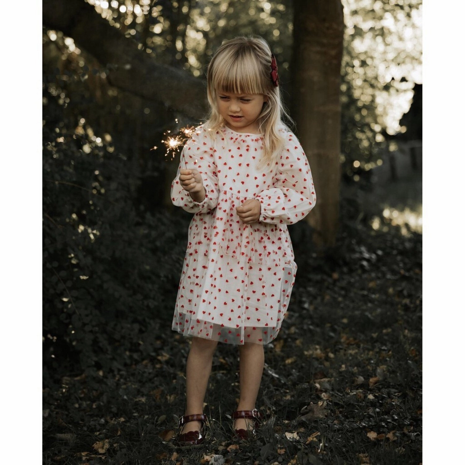 Air Comfort Comfortable and Soft Fliink Sandshell/ Pompeian Red Tulle Heart Dress