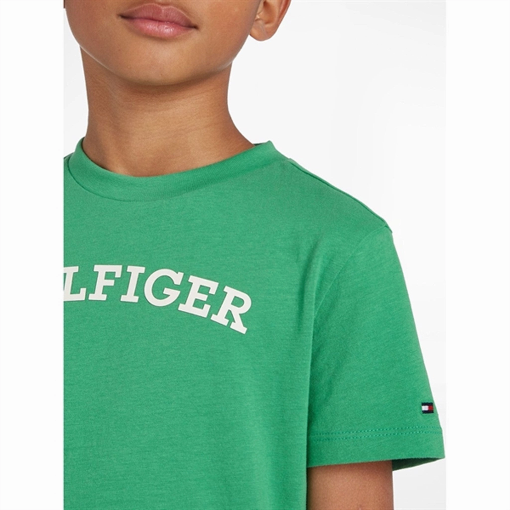Tommy Hilfiger Arched T-Shirt Coastal Green Natural Fiber Blend
