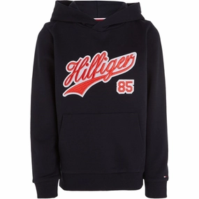 Family outing Fleece Lined Tommy Hilfiger Hilfiger Script Hoodie Desert Sky