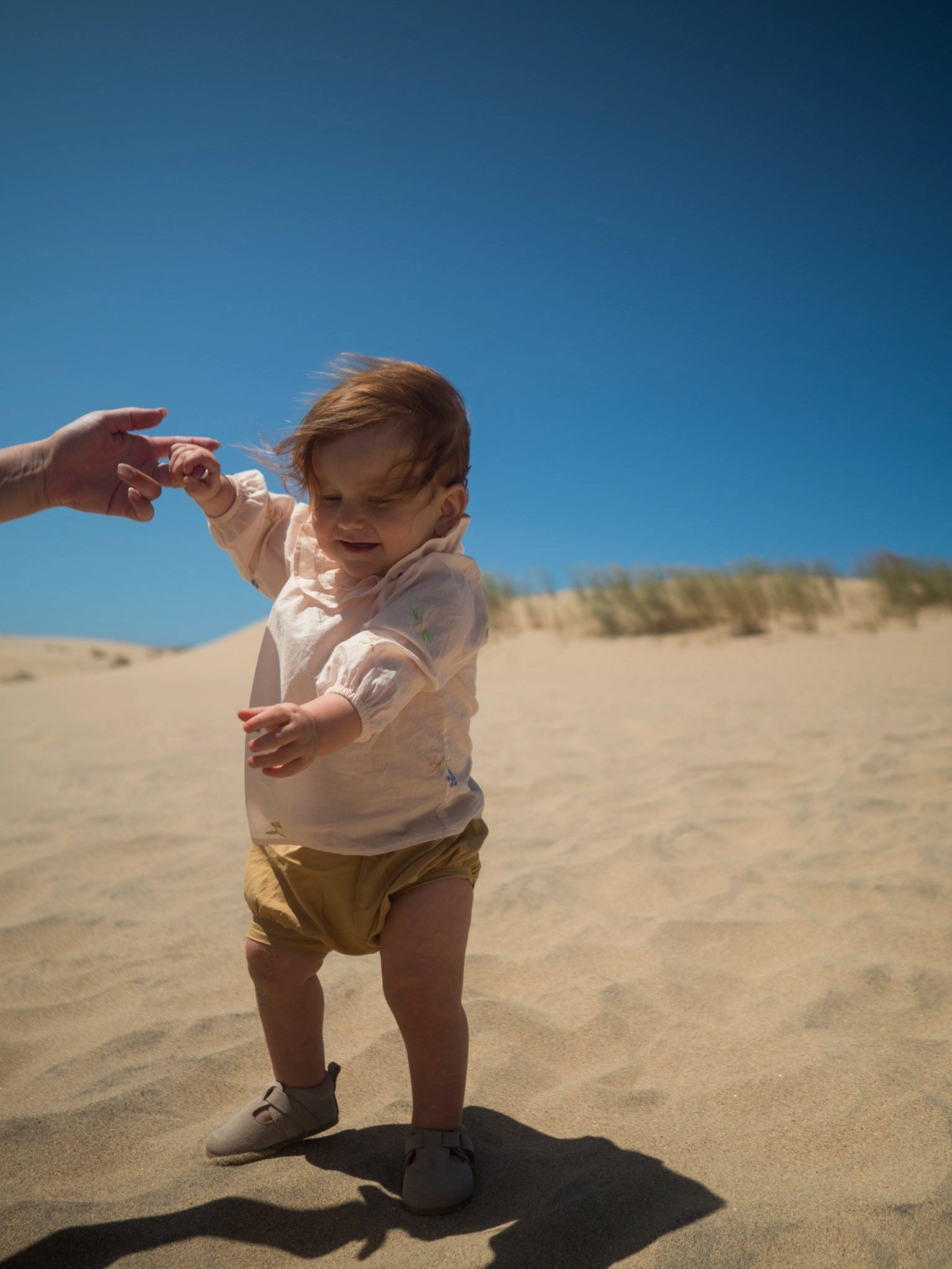 Snag Resistant Fabric MarMar Cotton Embroidery Spring Embroidery Tonella Shirt