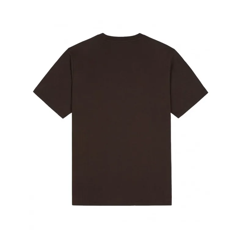 Dickies T-shirt manica corta da uomo Mapleton DK0A4XDB DBX dark brown Garment Dyed