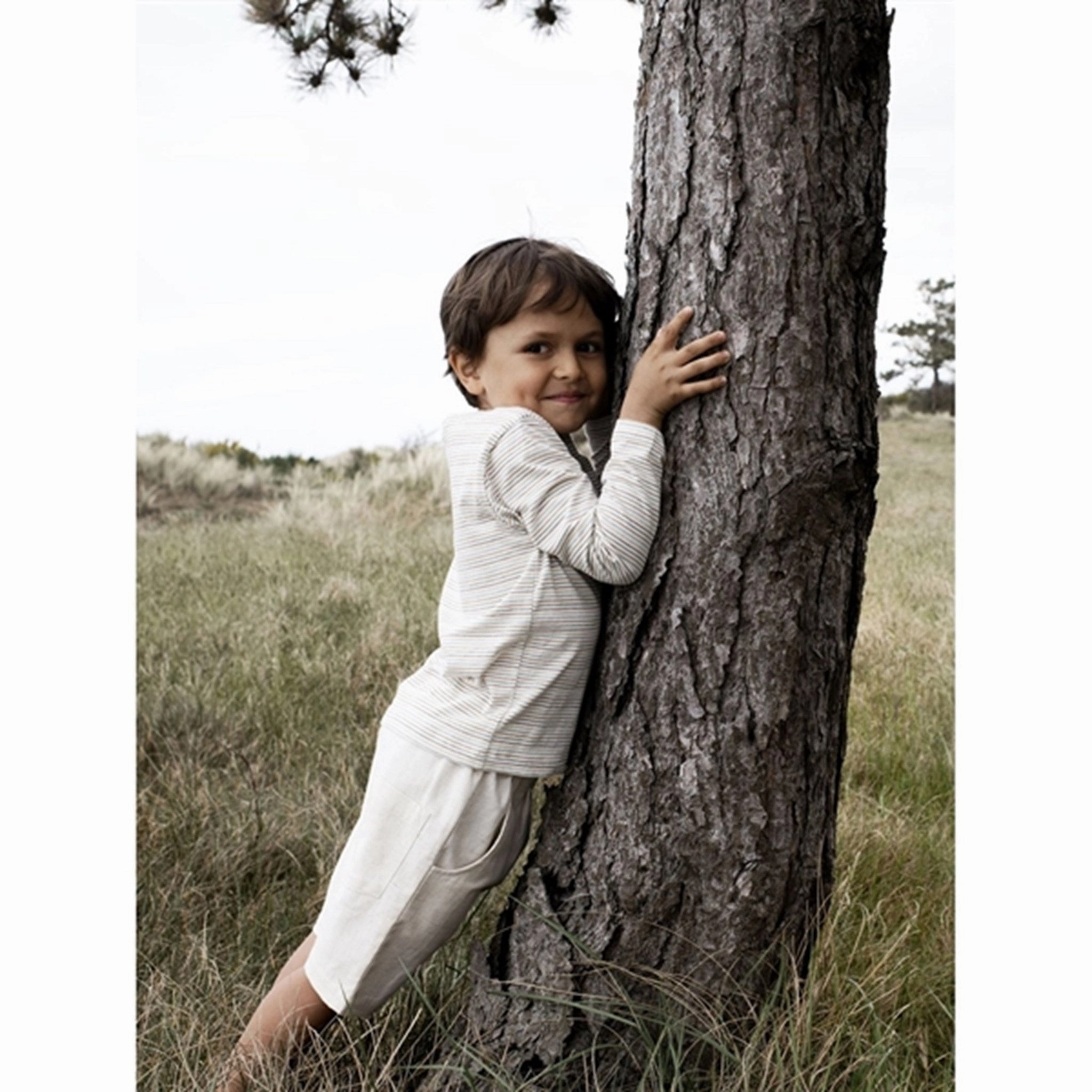 Business Meeting Serendipity Rainbow Stripe Jersey Blouse