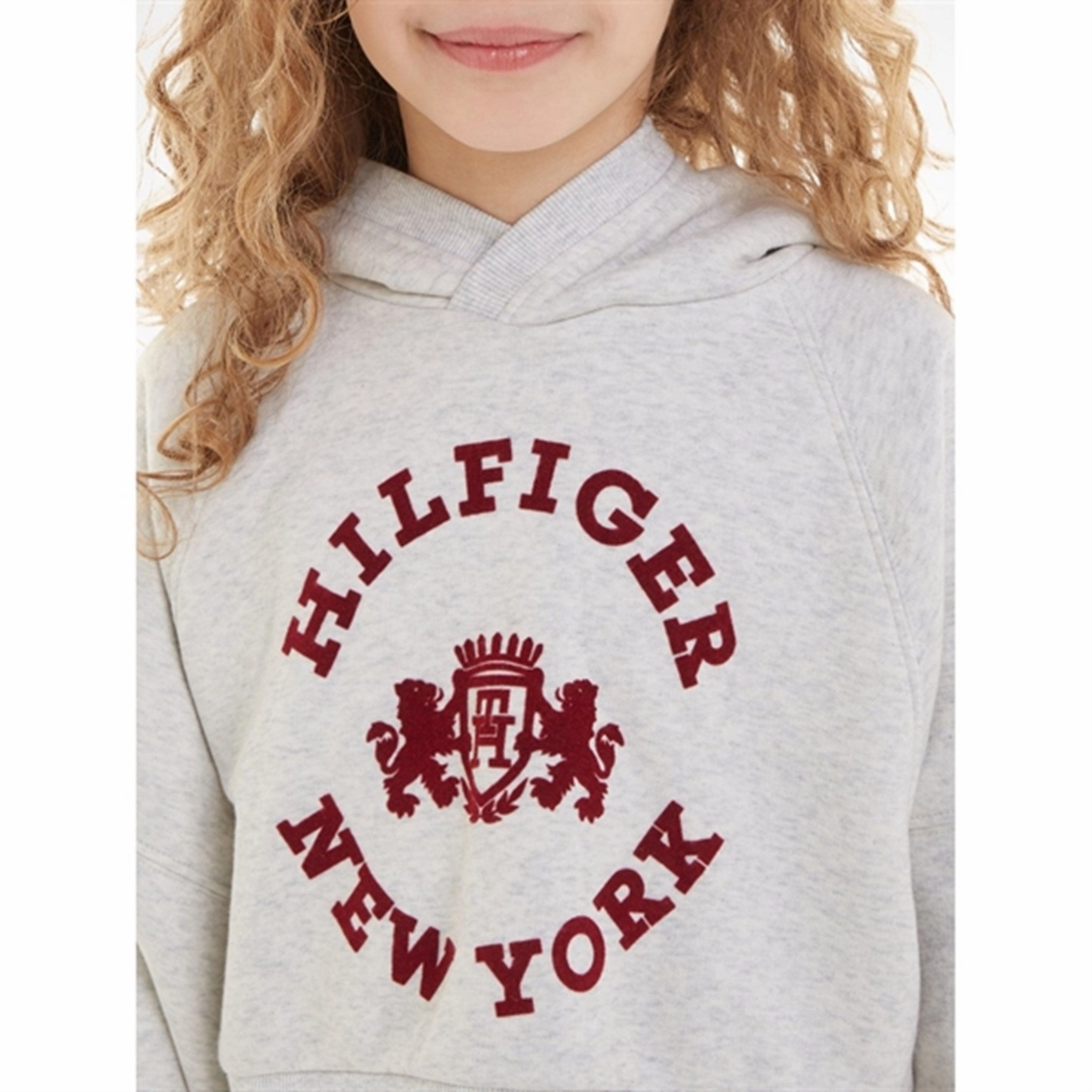 Stylish Detail High Demand Tommy Hilfiger Crest Hoodie New Light Grey Heather