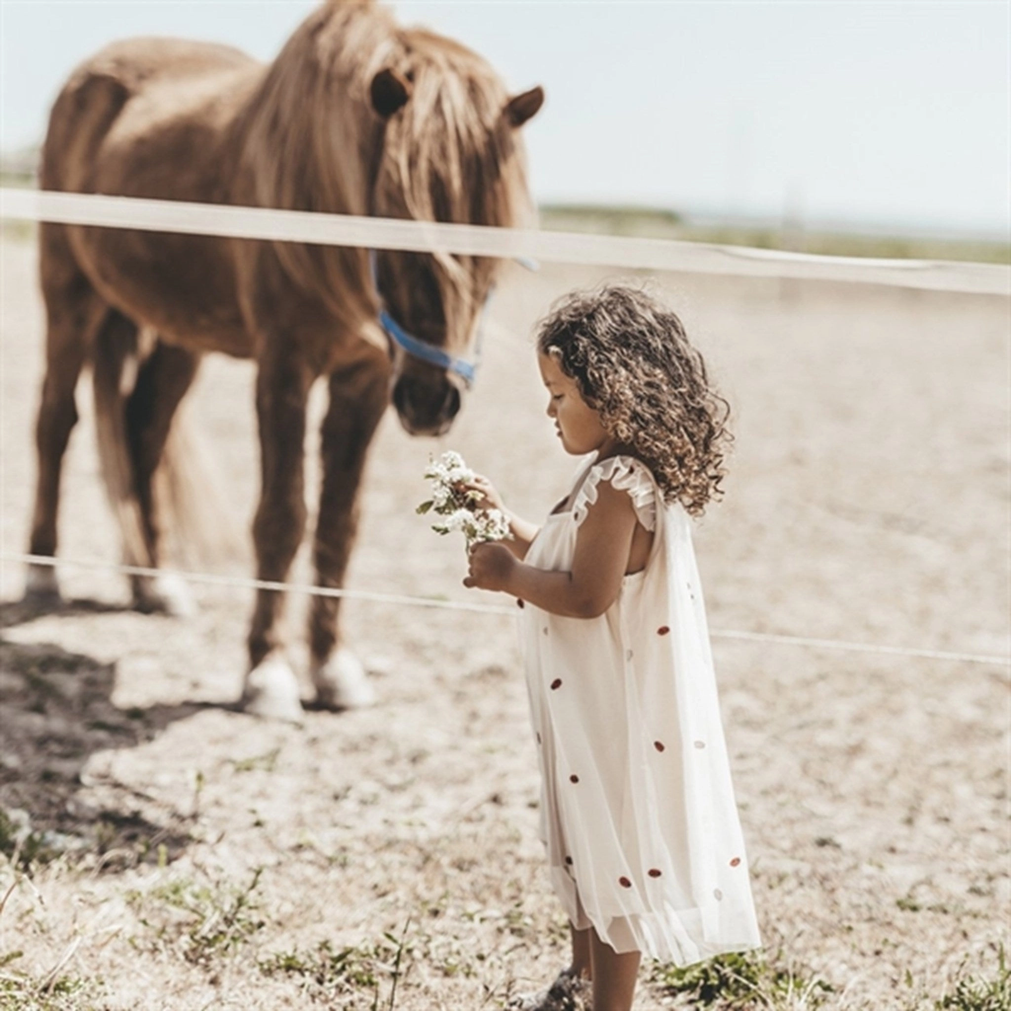 That's Mine Shell Halia Dress Cozy Mood Soft and Light