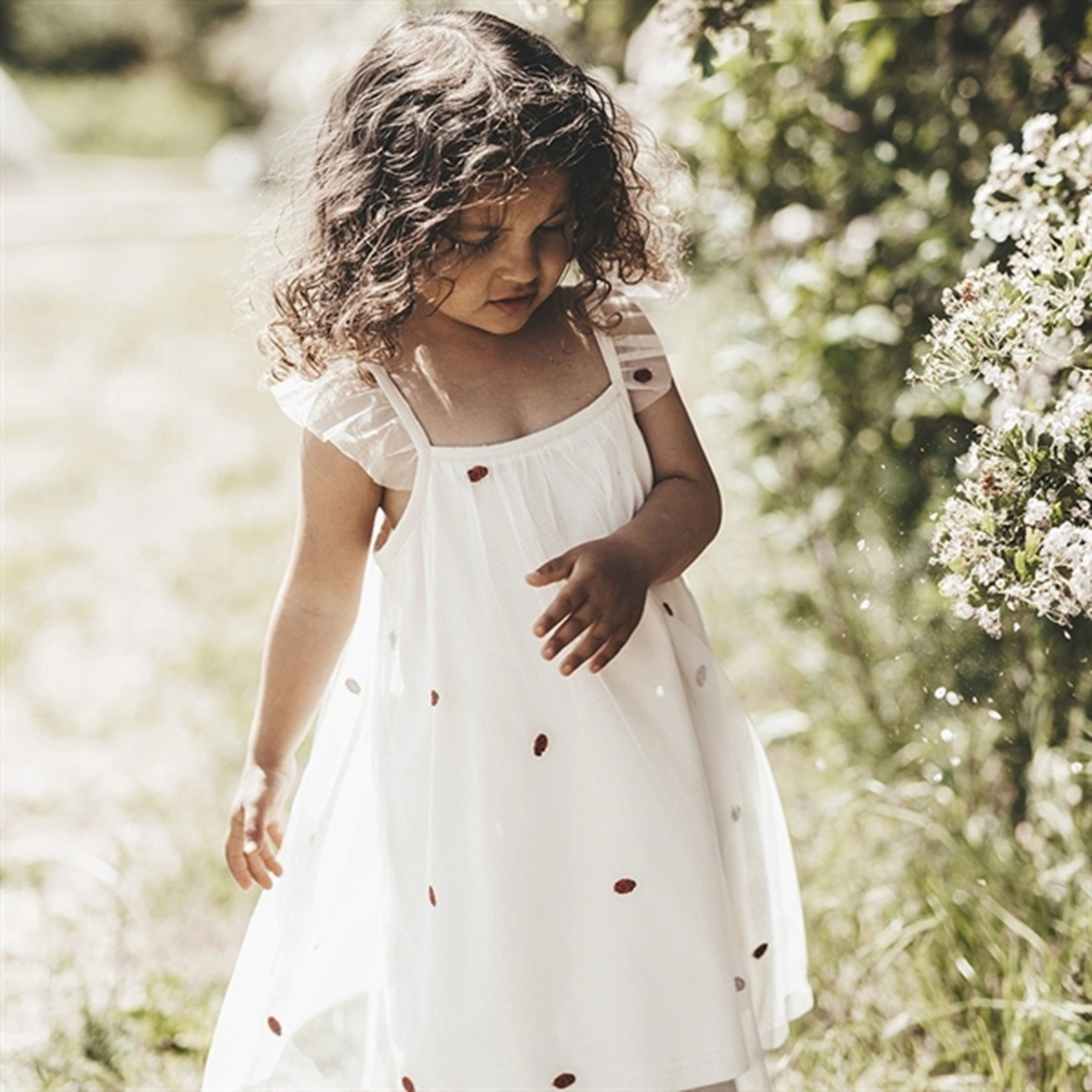 Silky Shape Elegant Piece That's Mine Shell Halia Dress