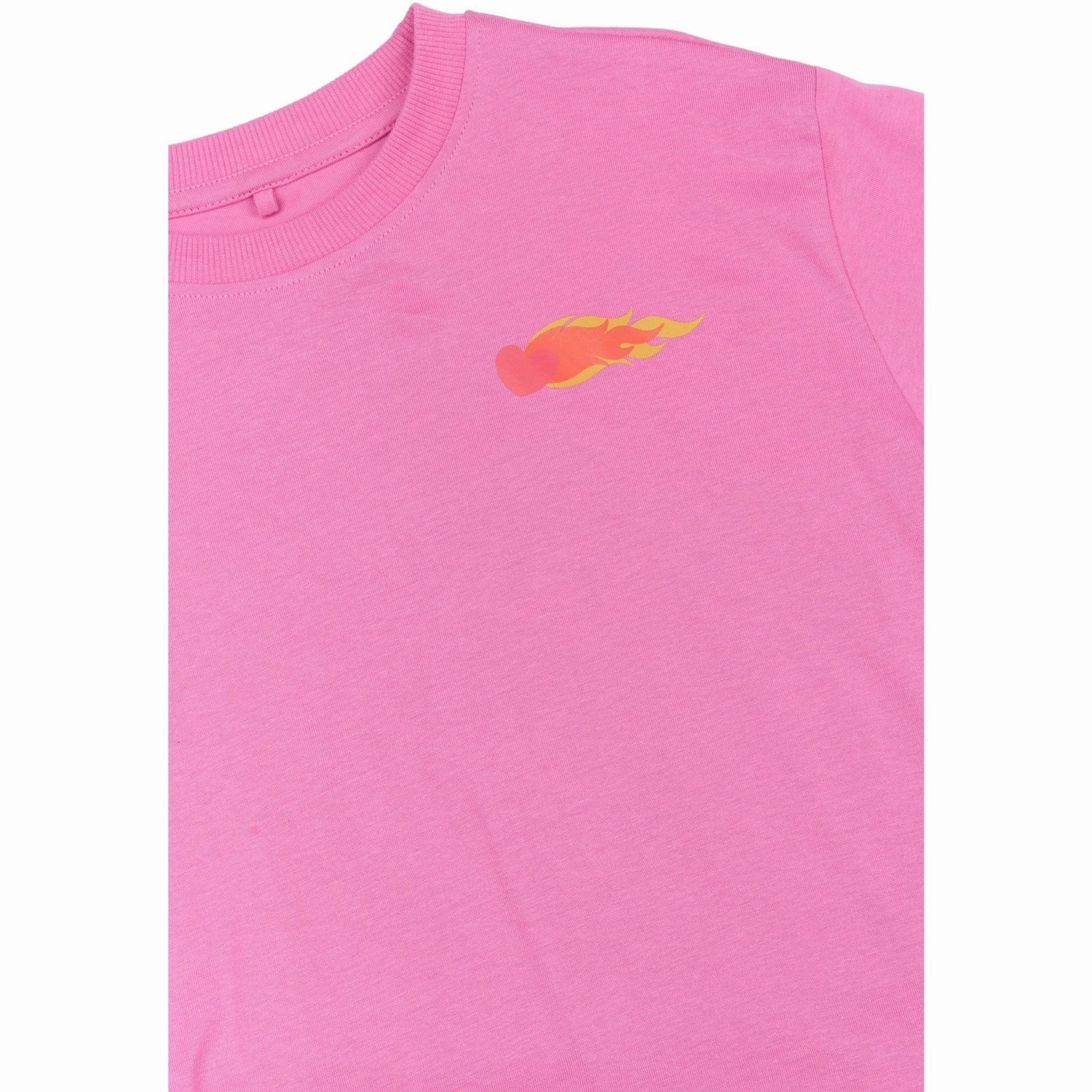 Beach Wear Wrinkle-Free The New Ibis Rose TNPia OS S_S TEE