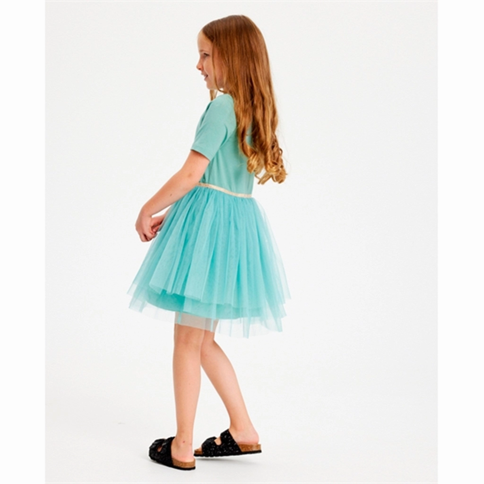 THE NEW Jadeite Fran Dress petite size