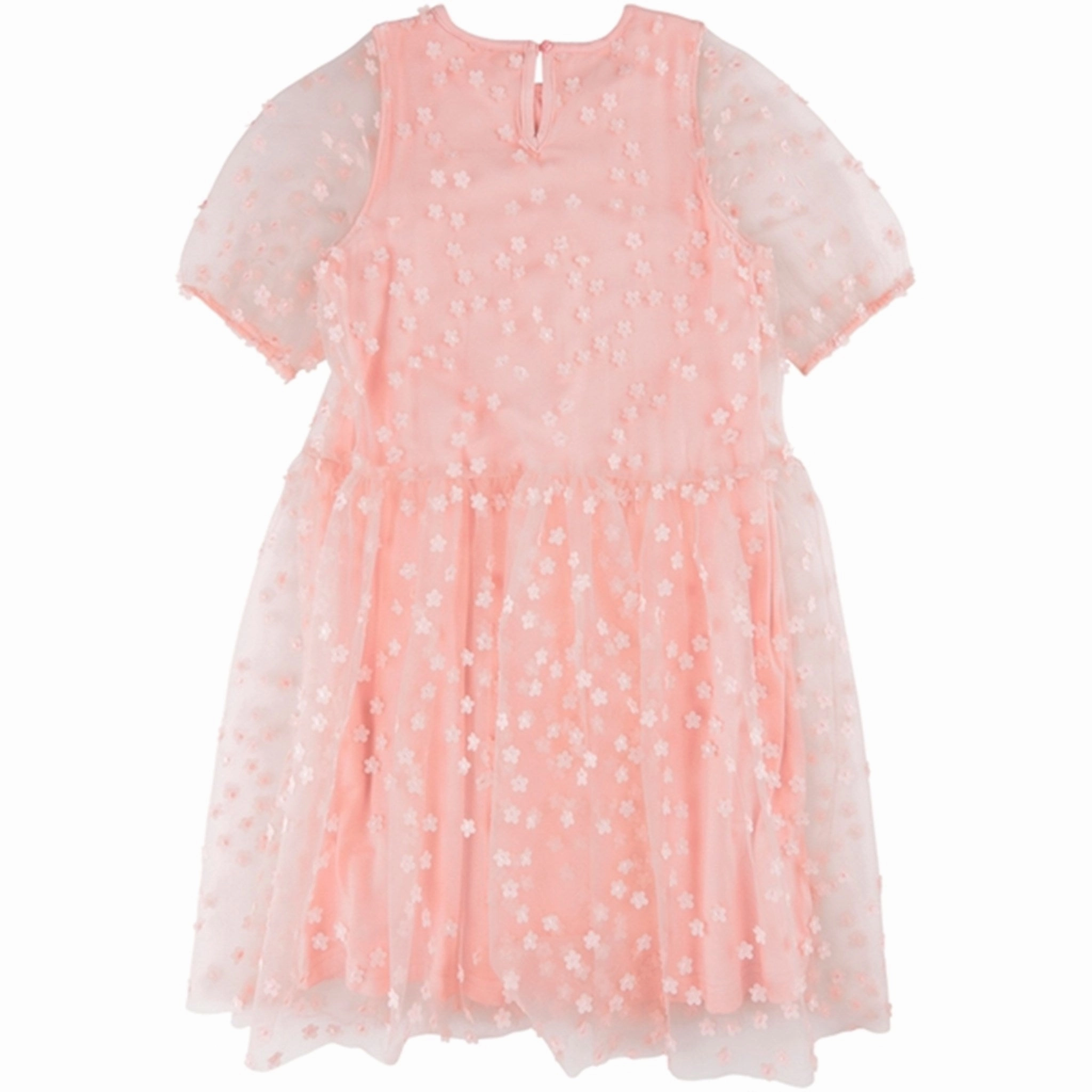 THE NEW Peach Beige Gracelyn Dress Night Vibes Classic Layers