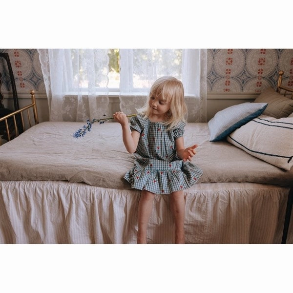 Tulle Air Refined Line Fl?ss Polly Dress Berry/Blue Gingham