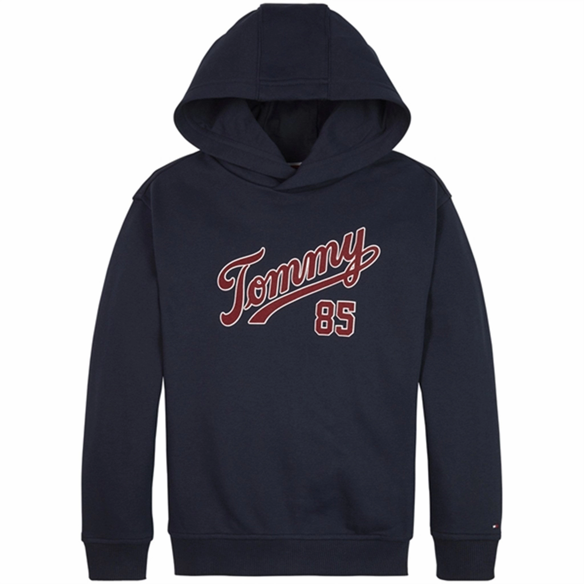 Trend Sense Tommy Hilfiger College 85 Hoodie Desert Sky