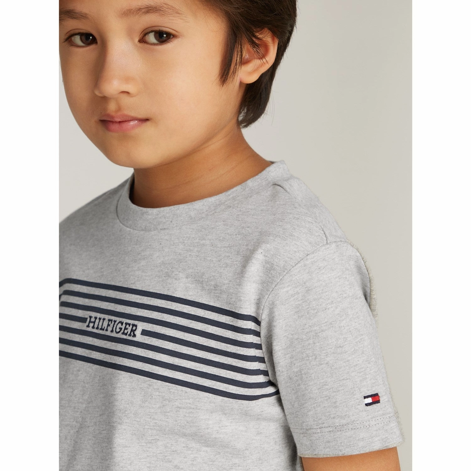 Unisex Comfortable Look Tommy Hilfiger Light Grey Htr / Navy Stripes Monotype Print Stripe Reg Tee Ss
