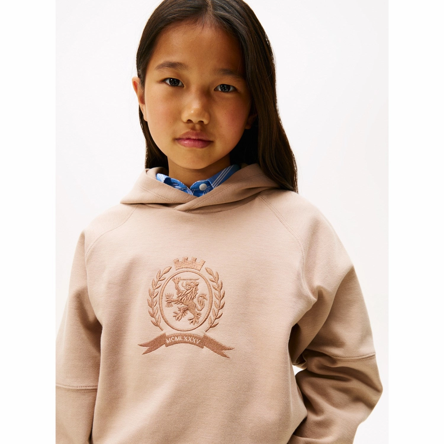 Breathable Mesh Panels Winter Day Tommy Hilfiger Malted Milk Tonal Crest Hoodie