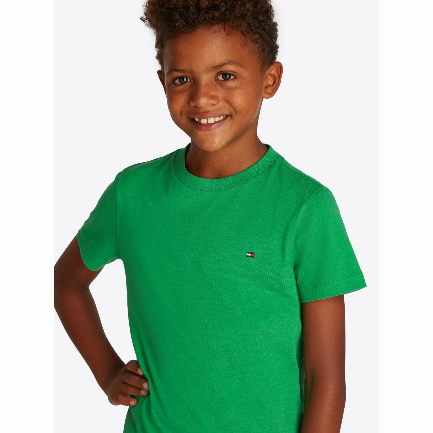 Breathable and Comfortable Tommy Hilfiger Radiant Green Essential Cotton Reg T-Shirt
