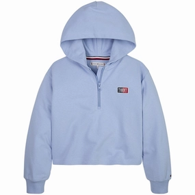 Retro futuristic Tommy Hilfiger Timeless Tommy Hoodie Pearly Blue