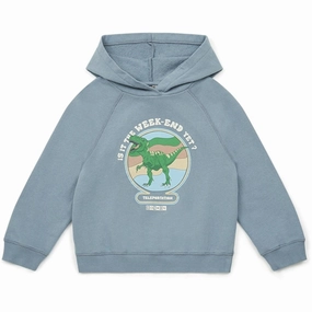 BONTON Gris Chichi Hoodie Pre Shrunk Cotton Street Mood