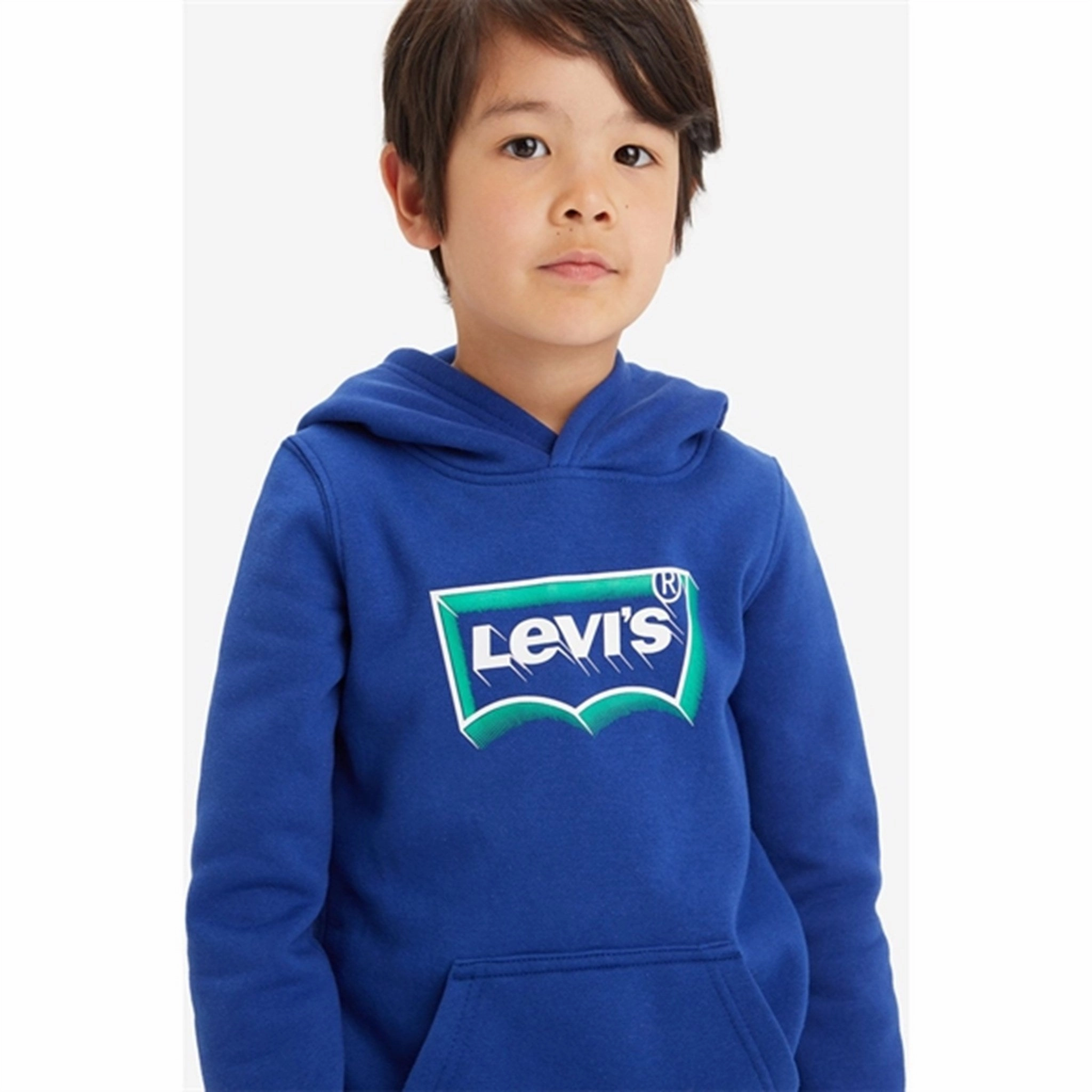 Levi's Batwing Fill Pullover Hoodie Sodalite Blue Androgynous style Elk like