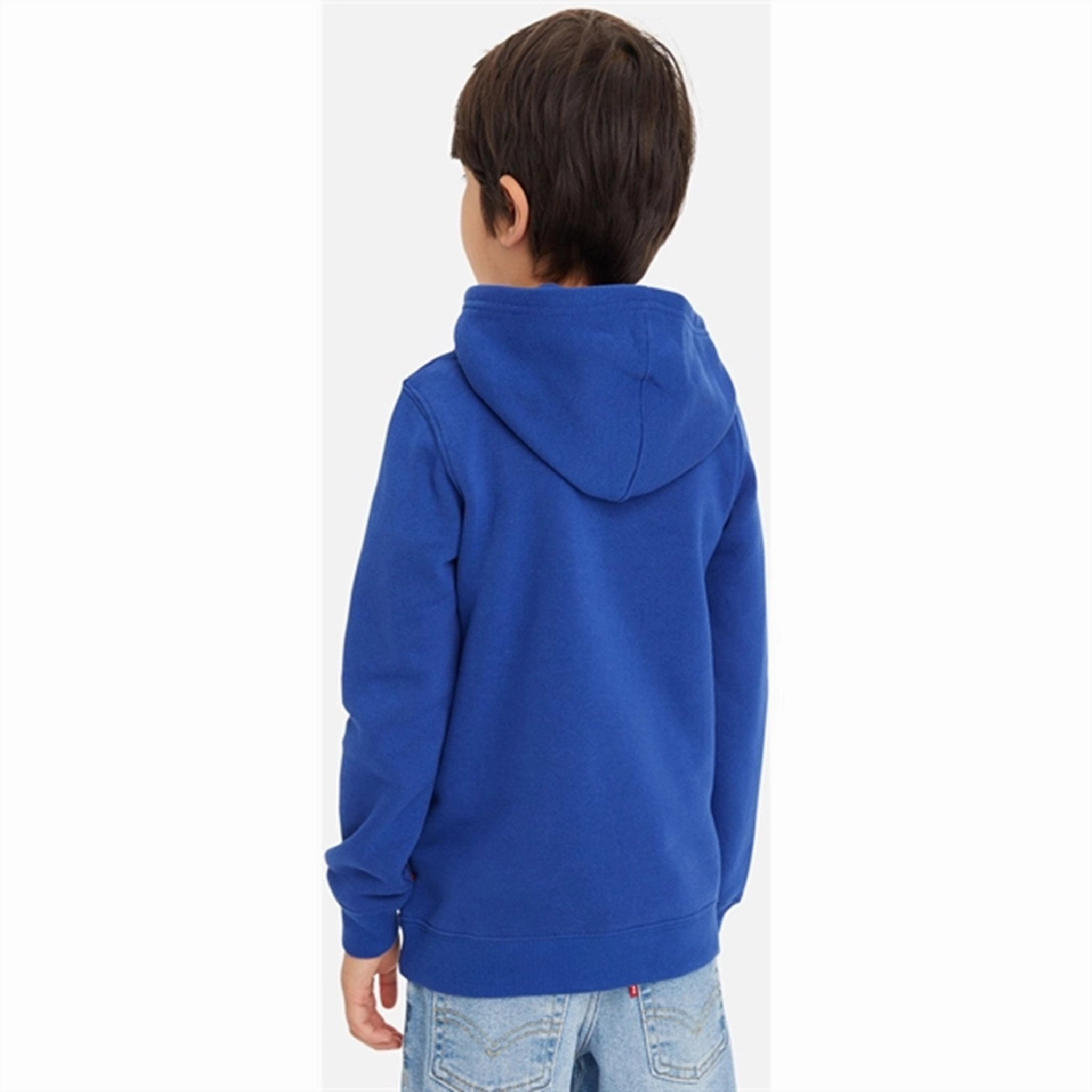 Shrew like Levi's Batwing Fill Pullover Hoodie Sodalite Blue