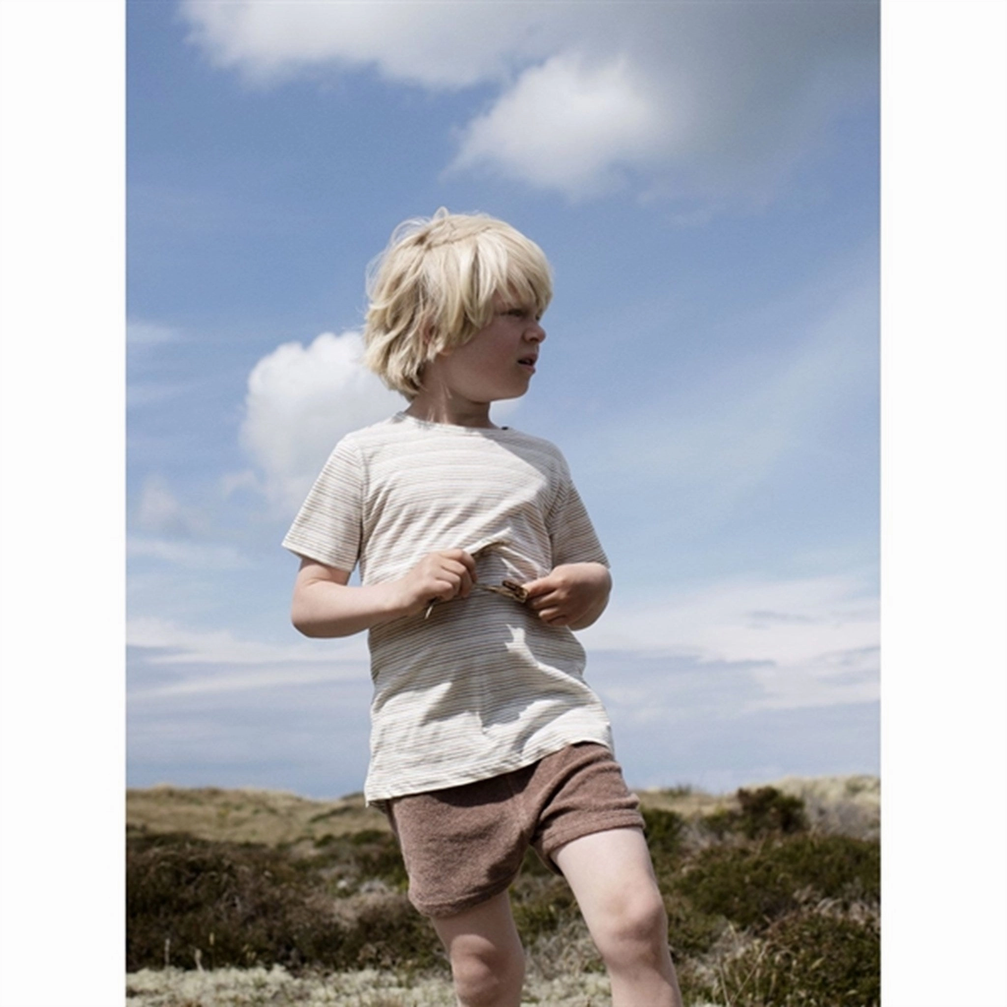 Anti Pilling Fabric Serendipity Rainbow Stripe Jersey T-shirt