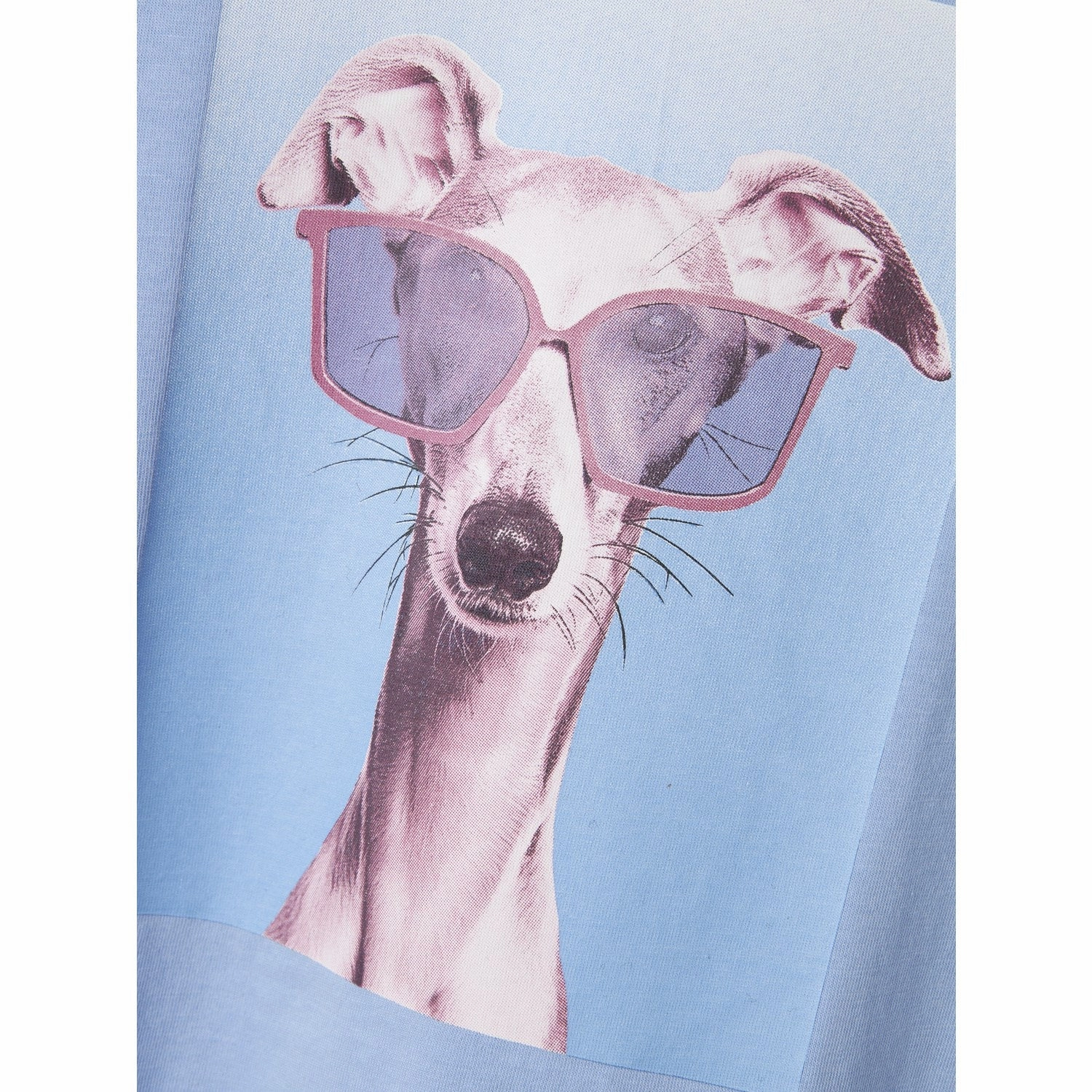 Fit For All Day loose but not baggy Name It Serenity Dog Nkfvotea Ss Nreg Top