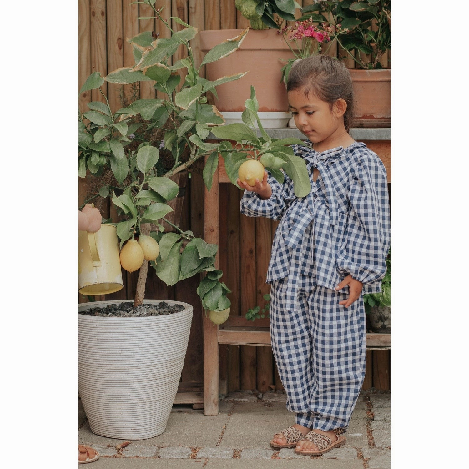 Trend-Driven Button-up Fliink Insignia Sandshell Check Zorro Blouse