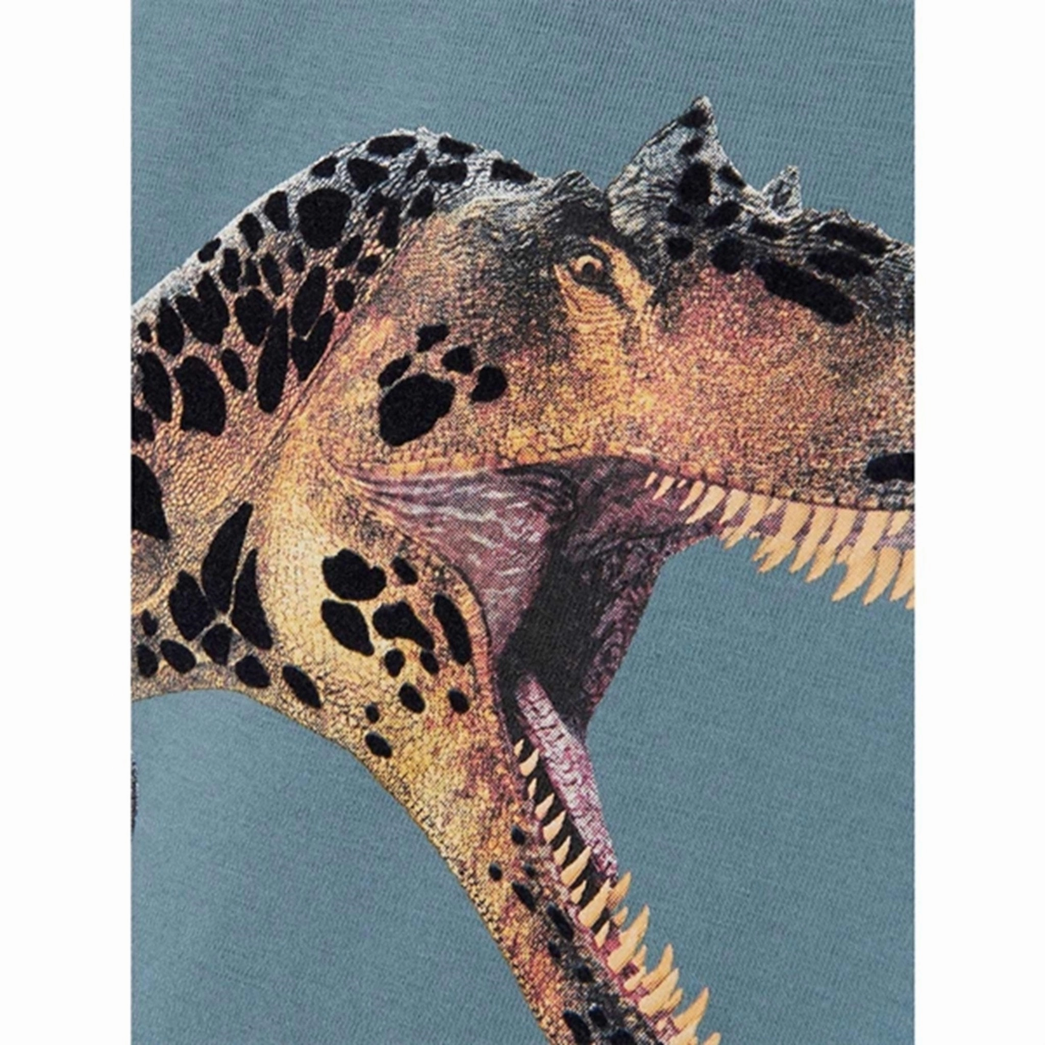 Name it Smoke Blue Hesa T-Shirt Comfy Look Wear Comfy Fit