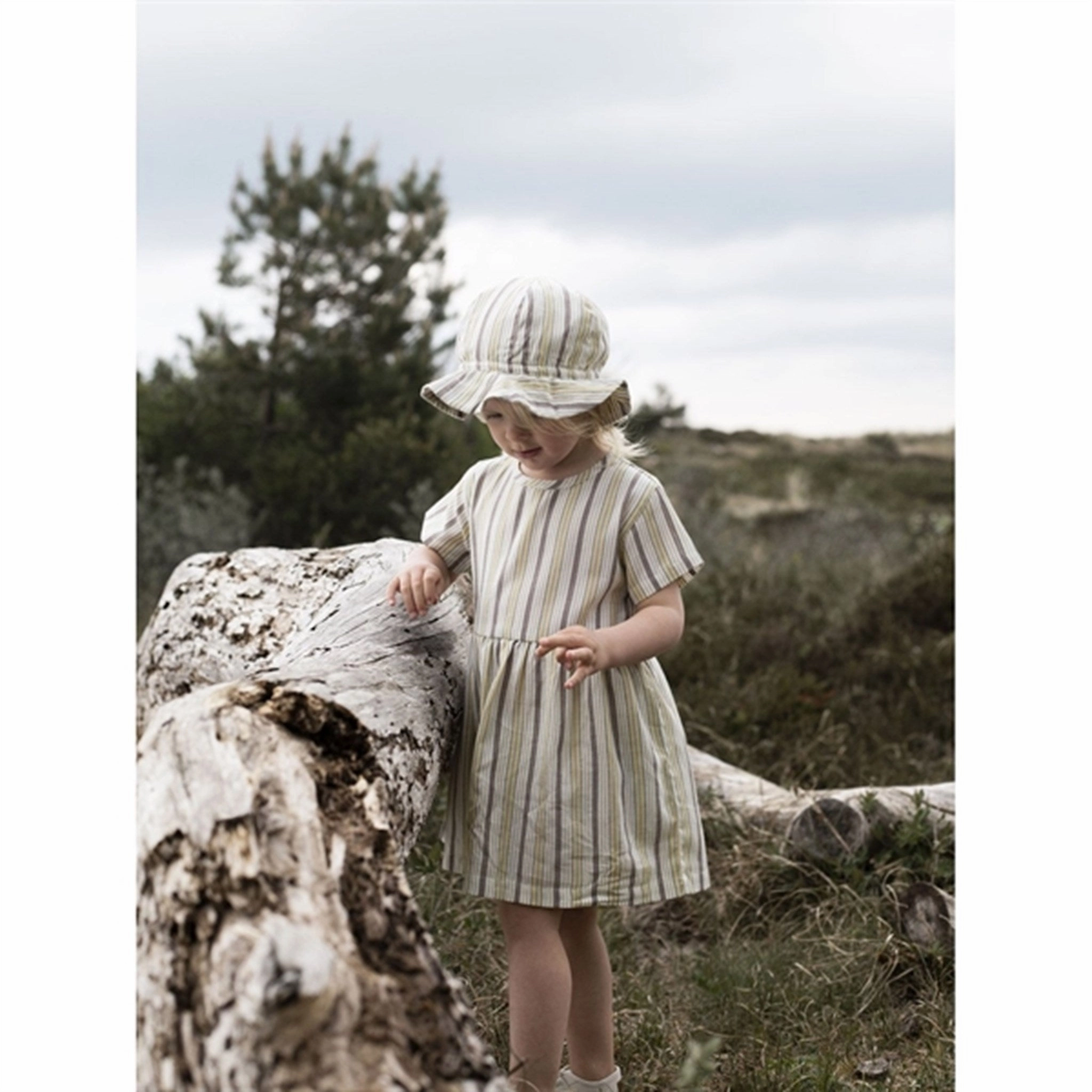 Serendipity Misty Stripes Loose Dress Daily Confidence