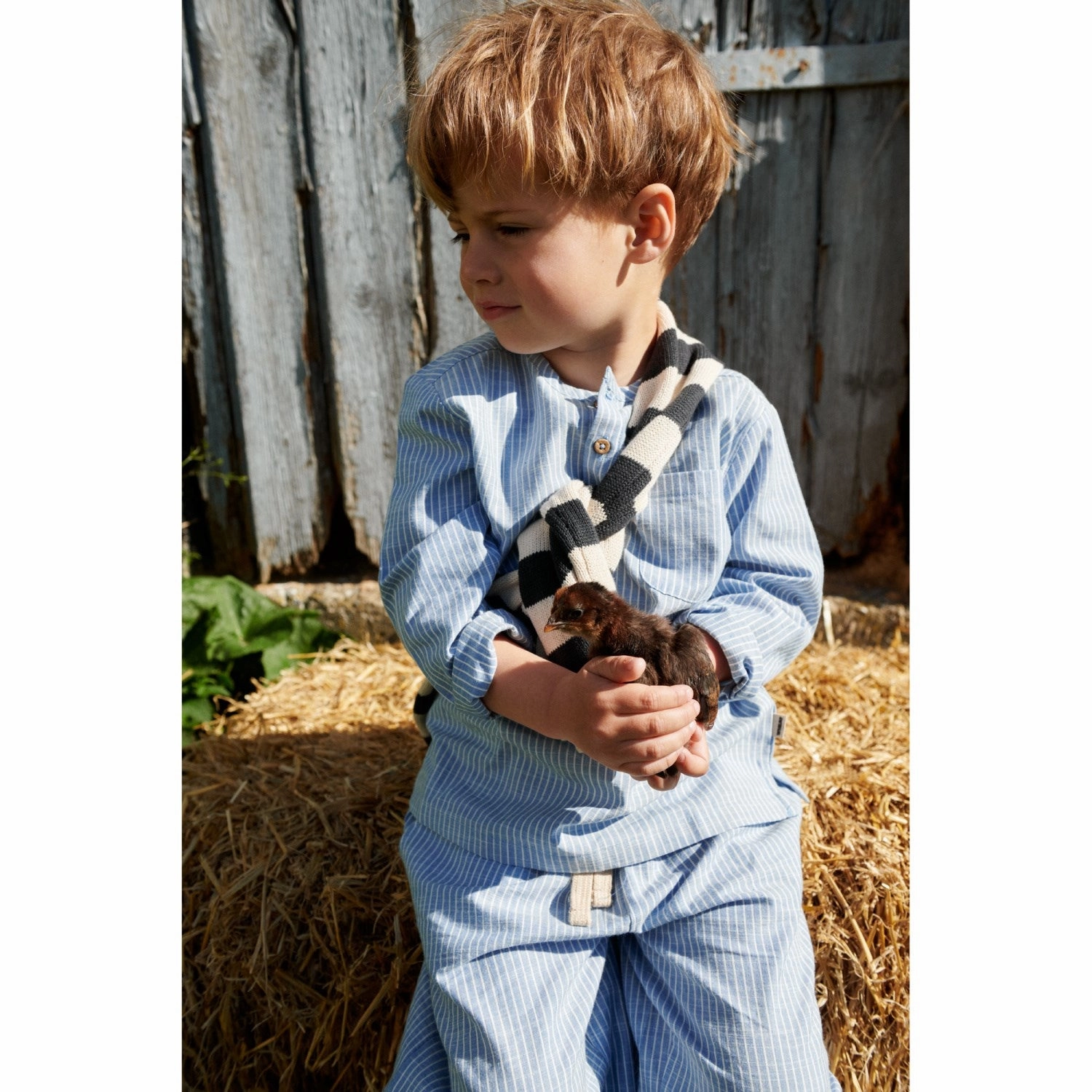 Wheat Blue Stripe Shirt Bj?rk Luxurious Feel