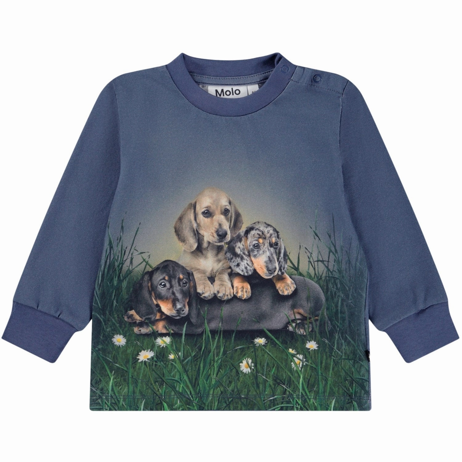 Molo Dachshund Cubs Eloy Blouse Layering Piece