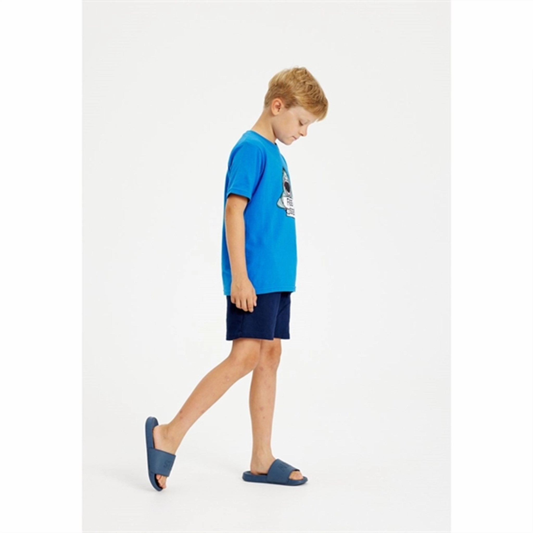 THE NEW Daphne Griffin T-shirt Timeless Must-Have